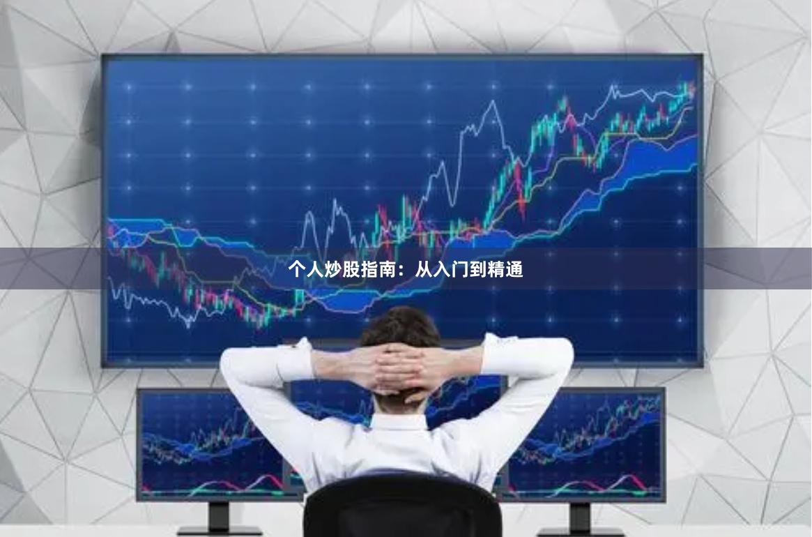 个人炒股指南：从入门到精通